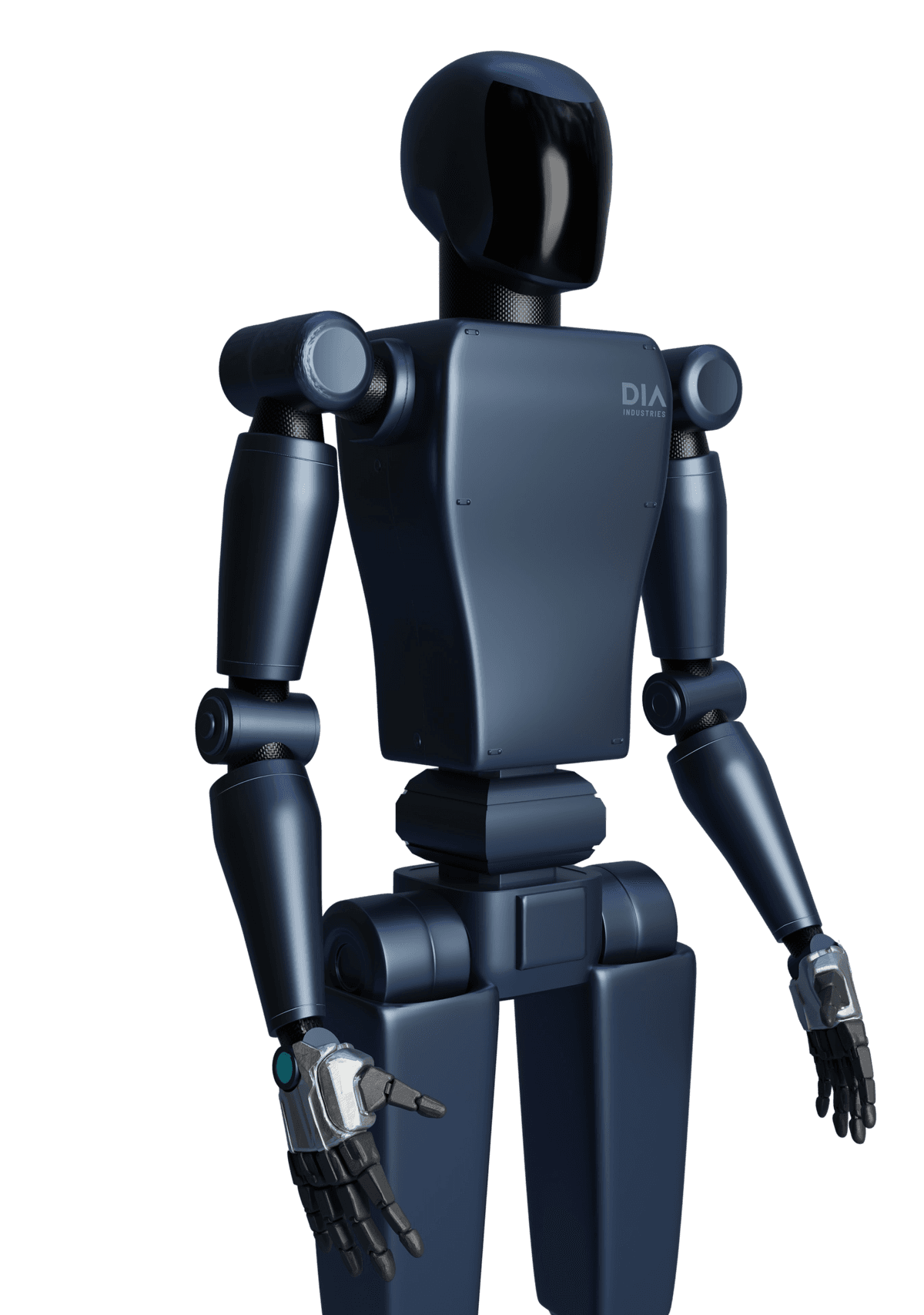 Humanoid Robot